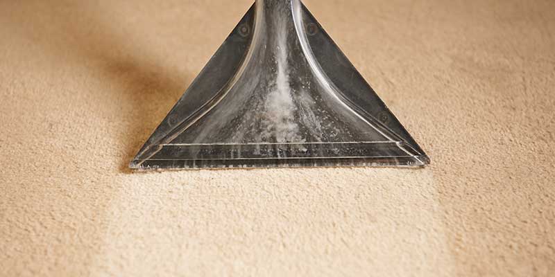 Carpet Cleaning Services