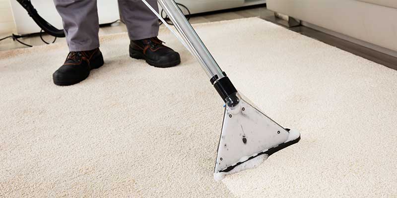 Carpet Cleaning Services